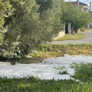 Χαλκιδική: Μεγάλες ζημιές από τη σφοδρή χαλαζόπτωση - Άρχισαν οι αιτήσεις αγροτών 